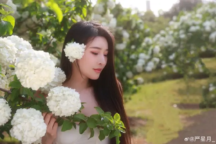 动漫产业数据对比